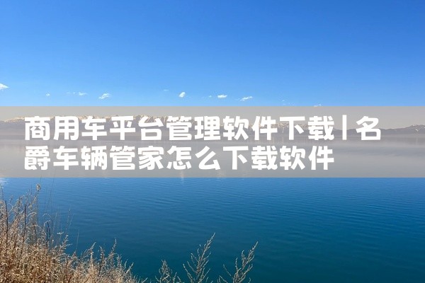 商用车平台管理软件下载