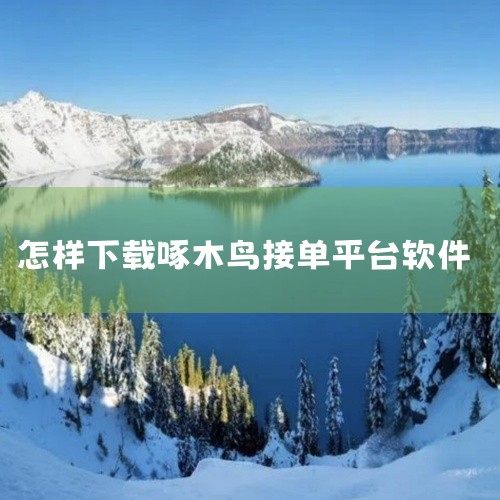 https://pan.baidu.com/s/1n2AH382JEY5X5YgCvt2Y7Q?pwd=hpna 啄木鸟维修师傅接单APP是啄木鸟维修平台专为维修师傅打造的接单管理工具，由重庆啄木鸟网|