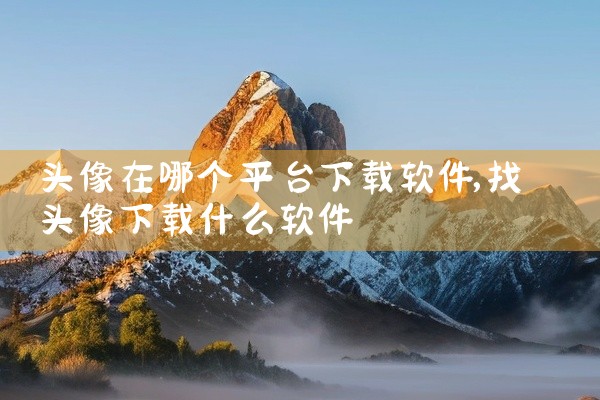 头像在哪个平台下载软件