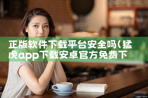 正版软件下载平台安全吗