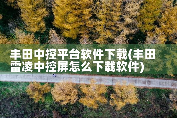 丰田中控平台软件下载