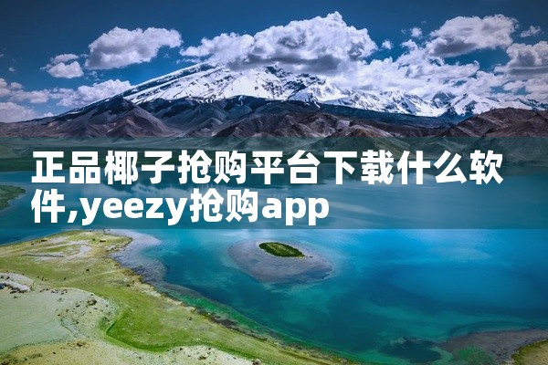 正品椰子抢购平台下载什么软件