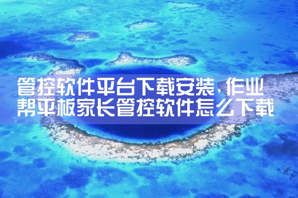管控软件平台下载安装