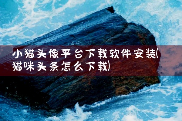 小猫头像平台下载软件安装